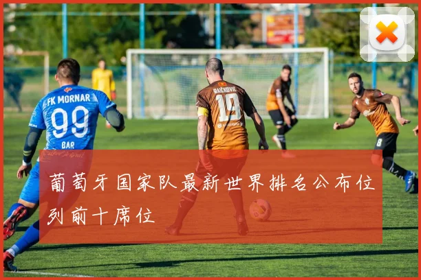 葡萄牙国家队最新世界排名公布位列前十席位