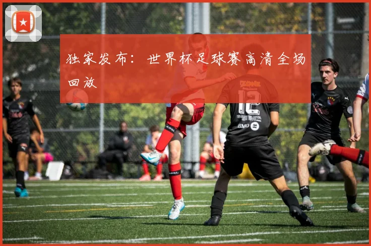 独家发布：世界杯足球赛高清全场回放