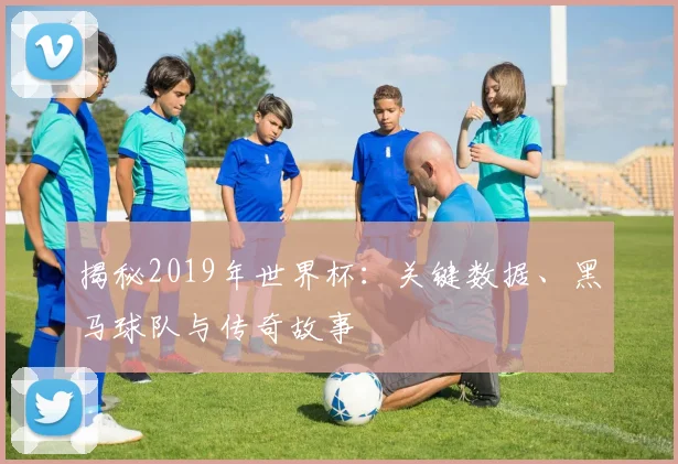 揭秘2019年世界杯：关键数据、黑马球队与传奇故事