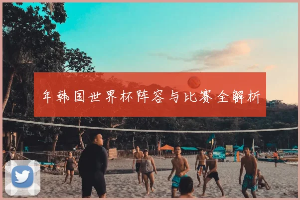 年韩国世界杯阵容与比赛全解析