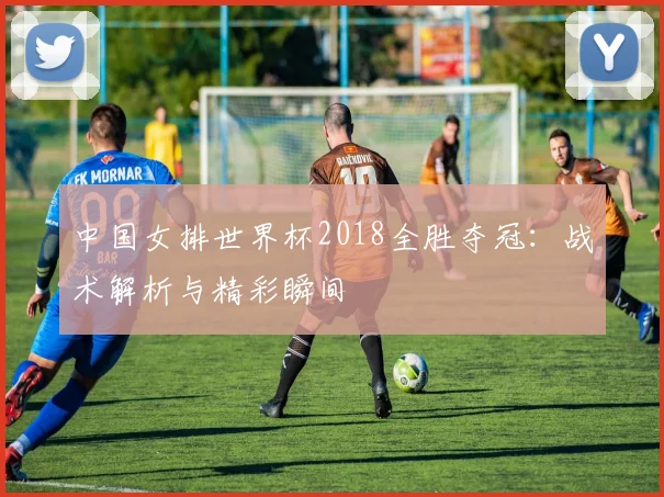 中国女排世界杯2018全胜夺冠：战术解析与精彩瞬间