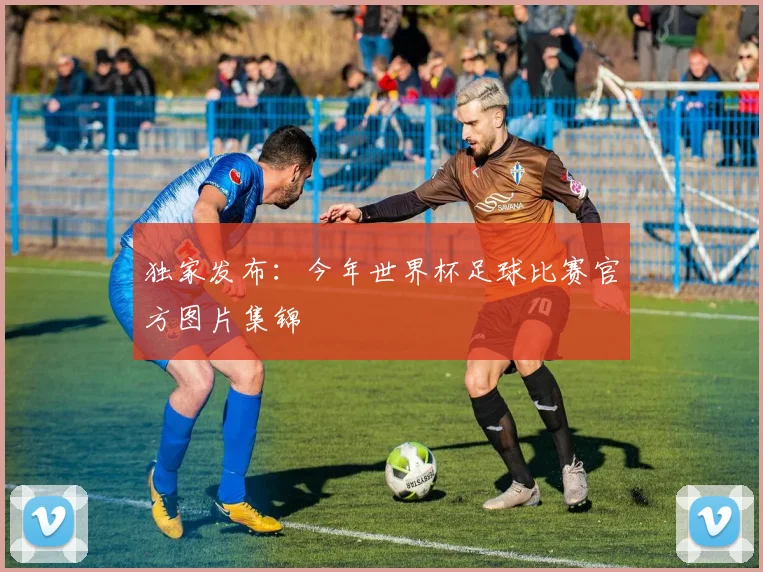 独家发布：今年世界杯足球比赛官方图片集锦