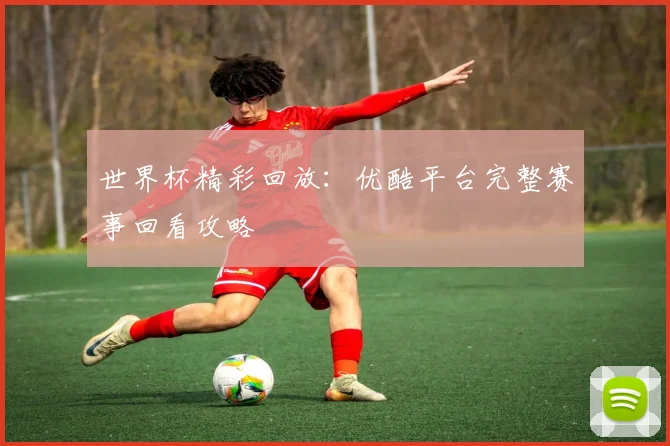 世界杯精彩回放：优酷平台完整赛事回看攻略
