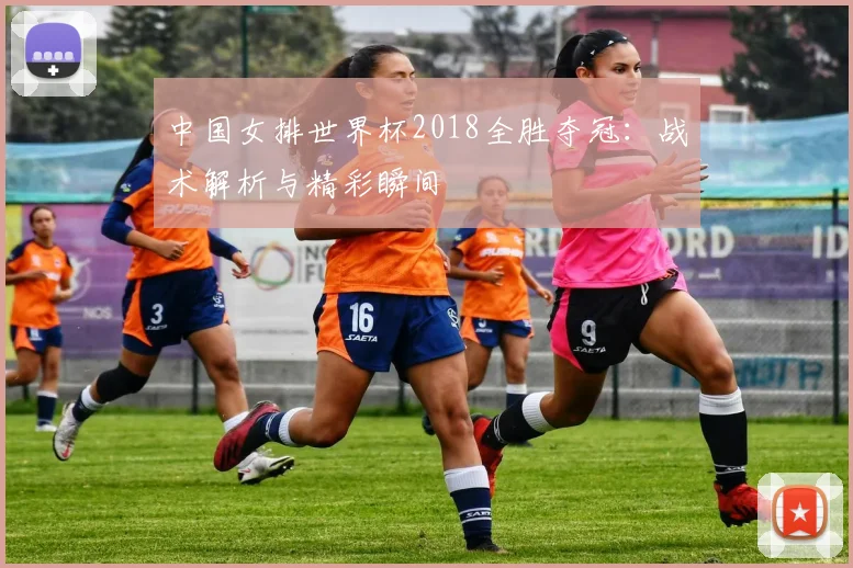 中国女排世界杯2018全胜夺冠：战术解析与精彩瞬间
