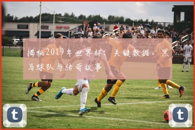 揭秘2019年世界杯：关键数据、黑马球队与传奇故事