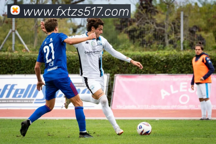 App Interface Preview